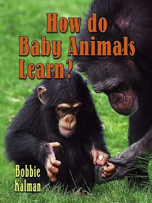 cover image of How Do Baby Animals Learn?